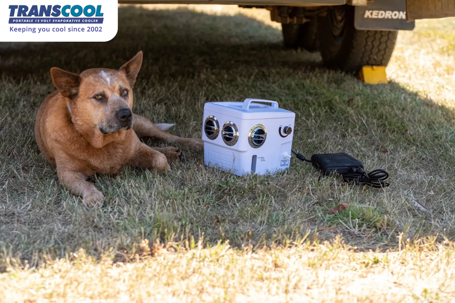 12 Volt Portable Air Cooler