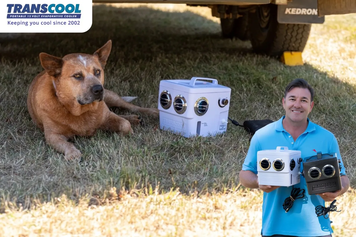 Portable Air Cooler for Dogs