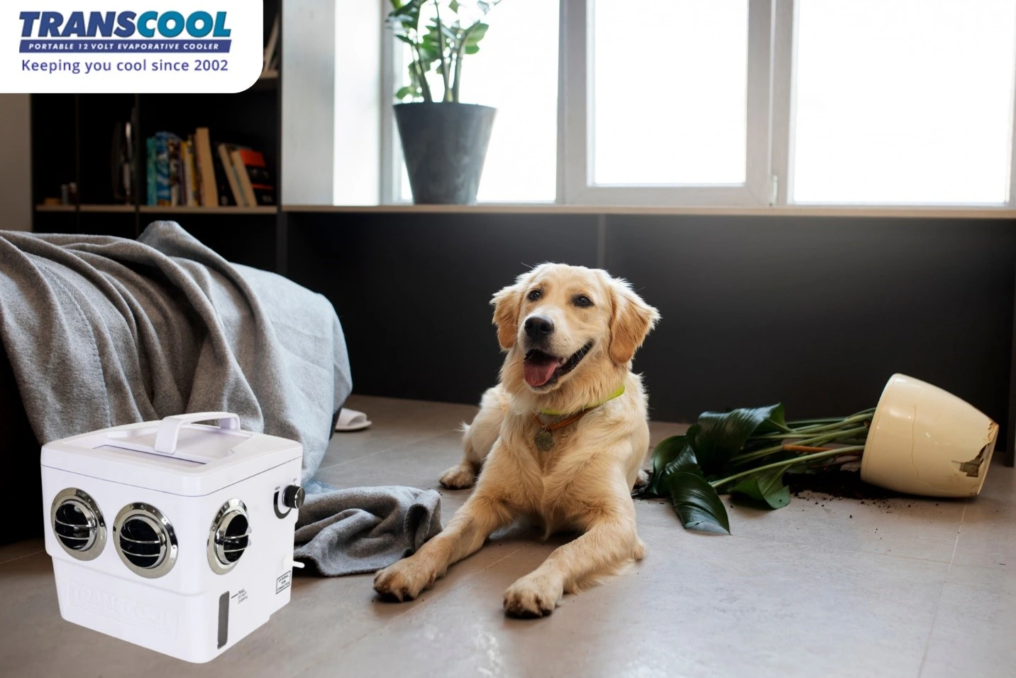 portable air cooler for dogs